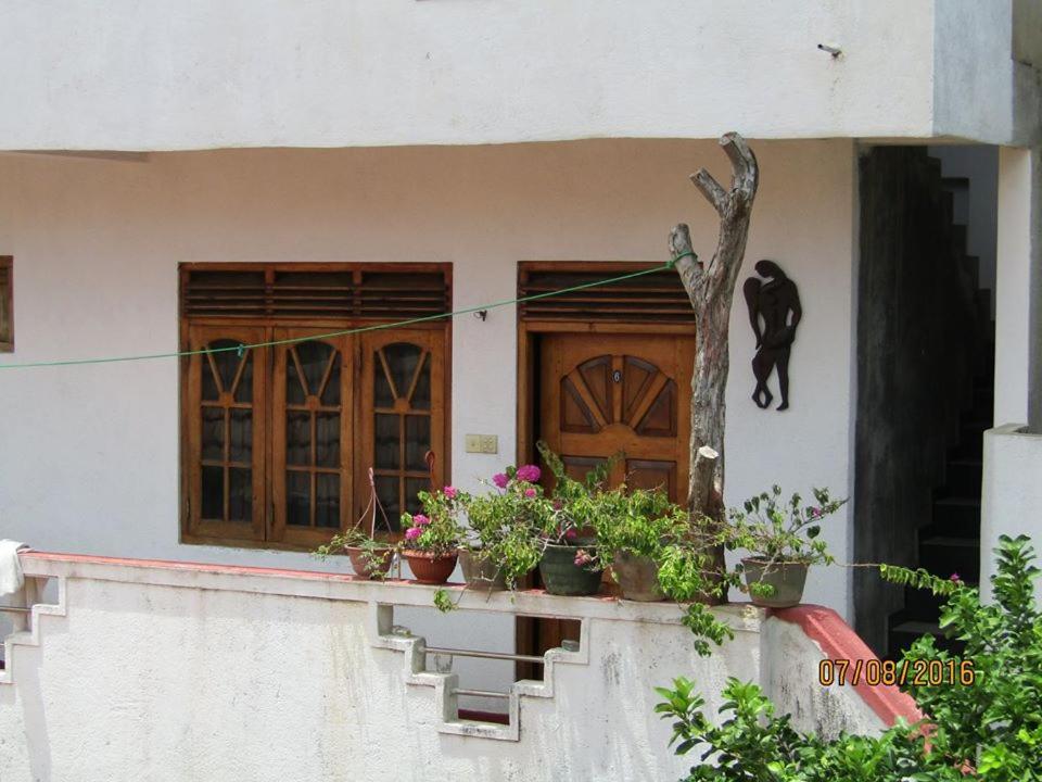 New Sea Lion Guest House ヒッカドゥワ エクステリア 写真